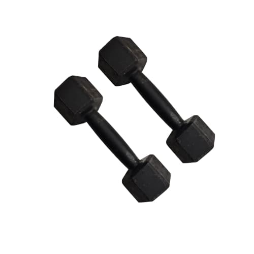 Par Halter Sextavado Ferro 03Kg