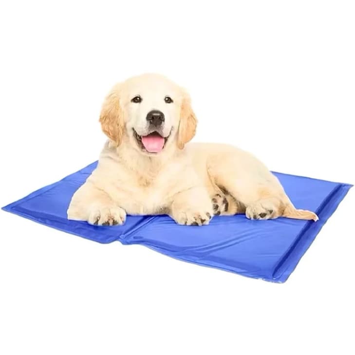 Tapete Gelado Refrescante Para Pet Cachorro Gato Grande 40x50 / 50x65 Durável