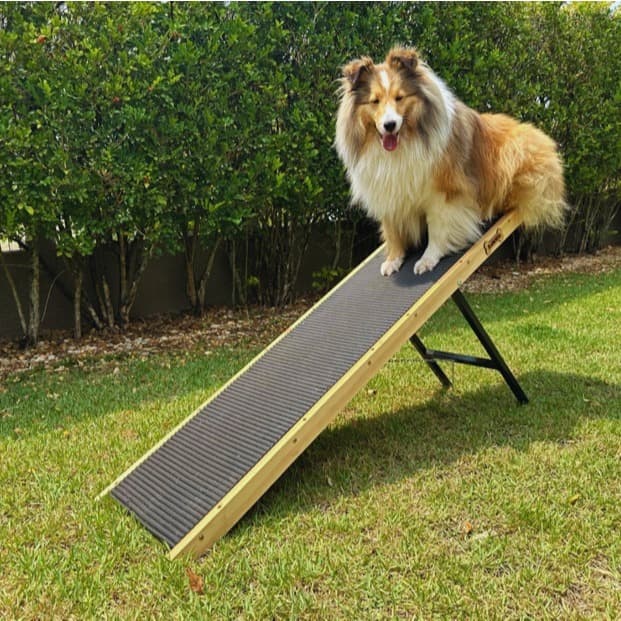 Rampa Escada Pet Até 15kg - 48 à 75 de altura com Antiderrapante - Para camas altas - Top Plus 150