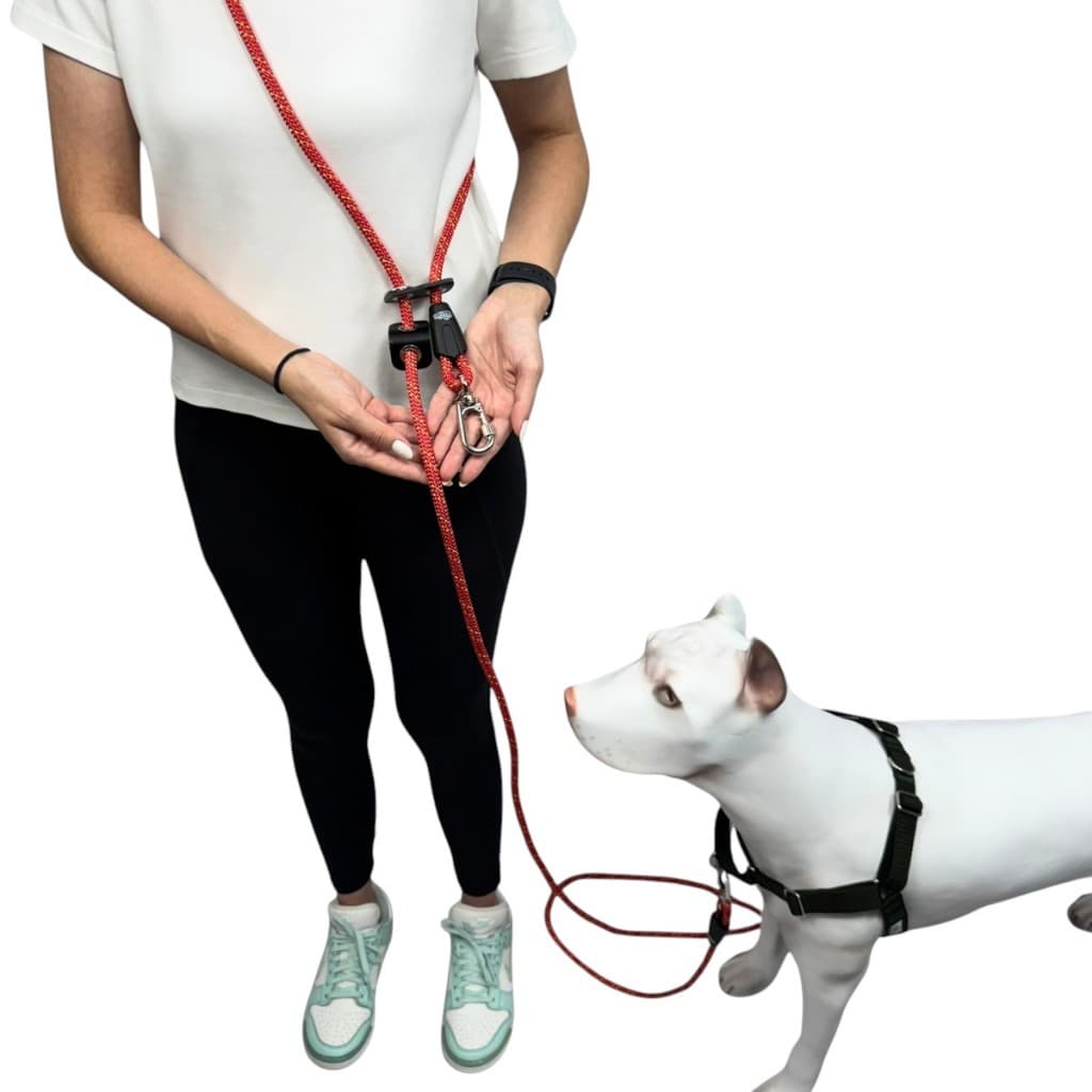 Guia Mãos Livres Para Corrida Com Cachorro Cintura Ajustável.
