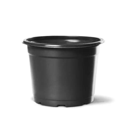 Vaso NP13 Pote Holambra 725ml Preto - 50 unidades para Mudas, Suculentas e Cultivo Doméstico