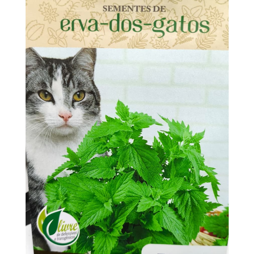 Sementes De Ervas Dos Gatos 250mg Catnip Envelope Com mais de 400 Sementes