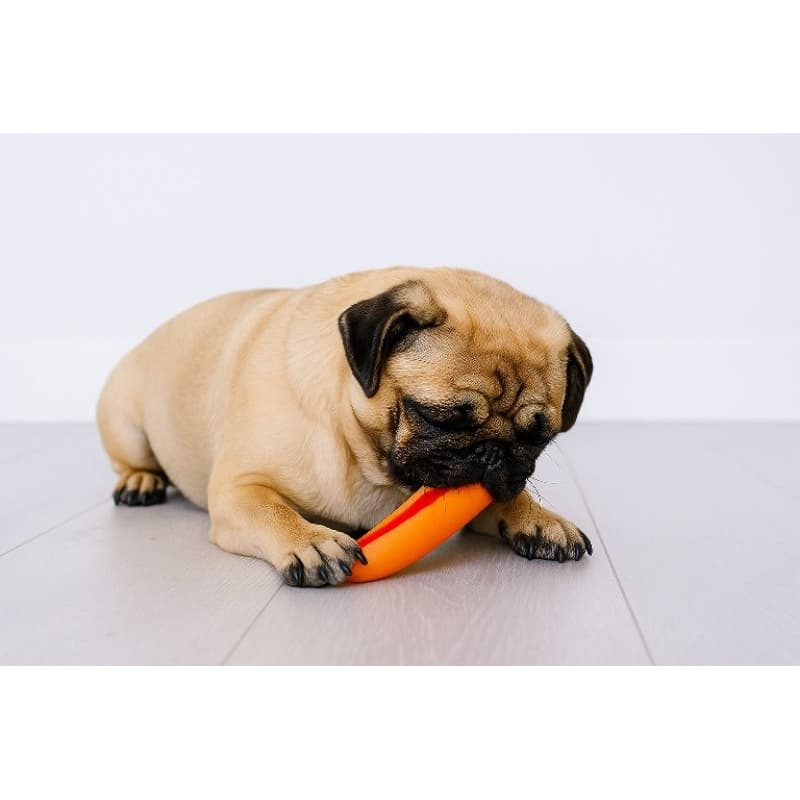 Brinquedo Mordedor Hot Dog Com Apito - Pet