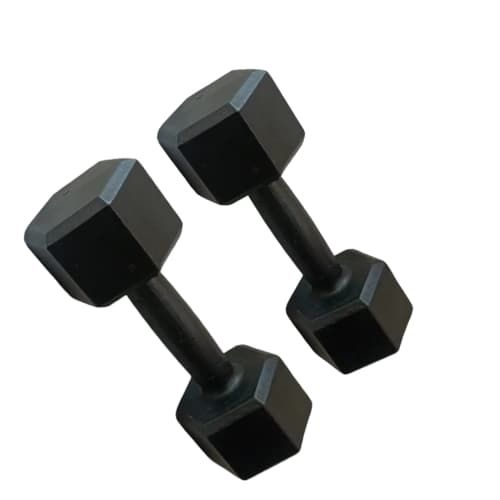 Par Halter Sextavado Ferro 10Kg