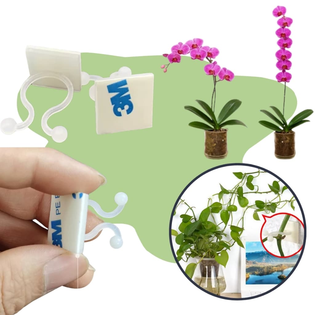 Pcs Escalada Planta Parede De Fixação Clips /  Pcs Vinhas De Parede Invisíveis Fixação / Suporte Decoração Jardim