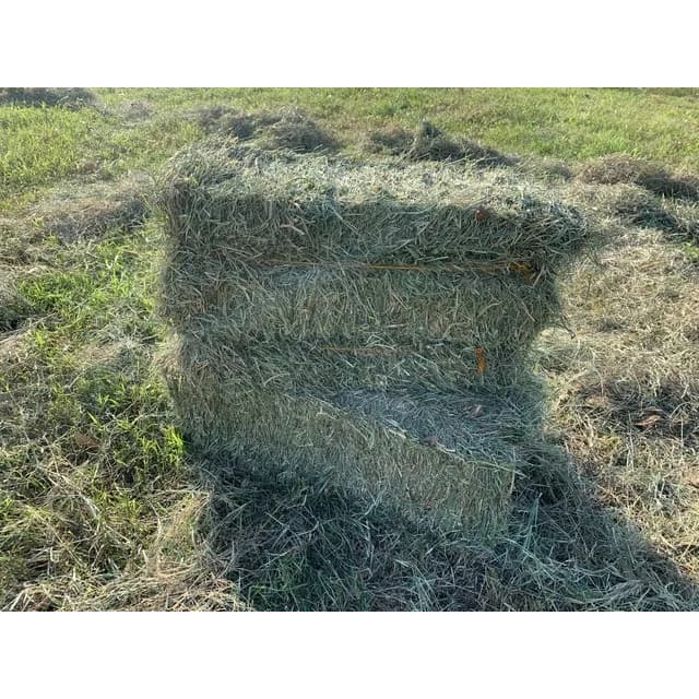 Feno Premium 2kg – Coelhos, Porquinhos e Outros Roedores | Direto do Produtor