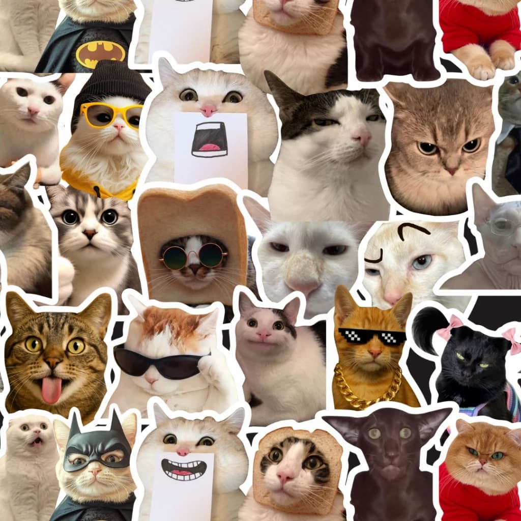 Kit Stickers Gato Meme Engraçado | Adesivos Vinil Resistentes | 25 Unidades | Impermeáveis