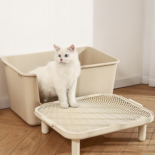 Tapete De Areia Para Gatos