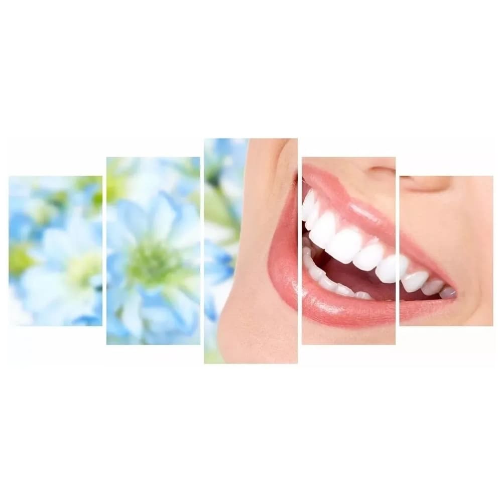 Quadro Decorativo Mosaico 5 Peças Dentista Consultórios Odontologia Dentes Sorriso