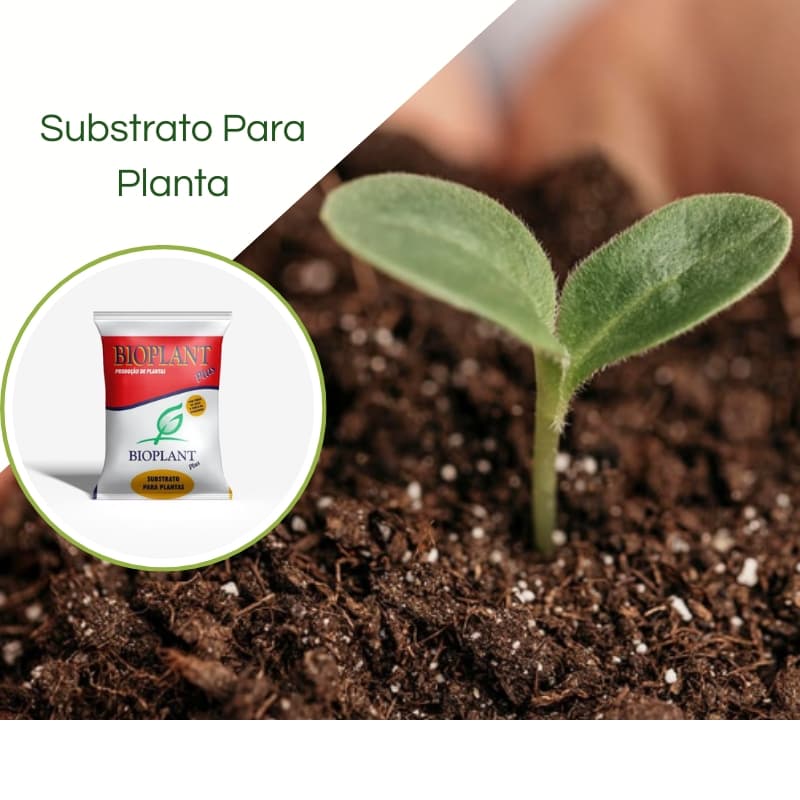 Substrato para plantas, jardim, vaso a Base de Casca de Pinus 40L Bioplant Plus 434