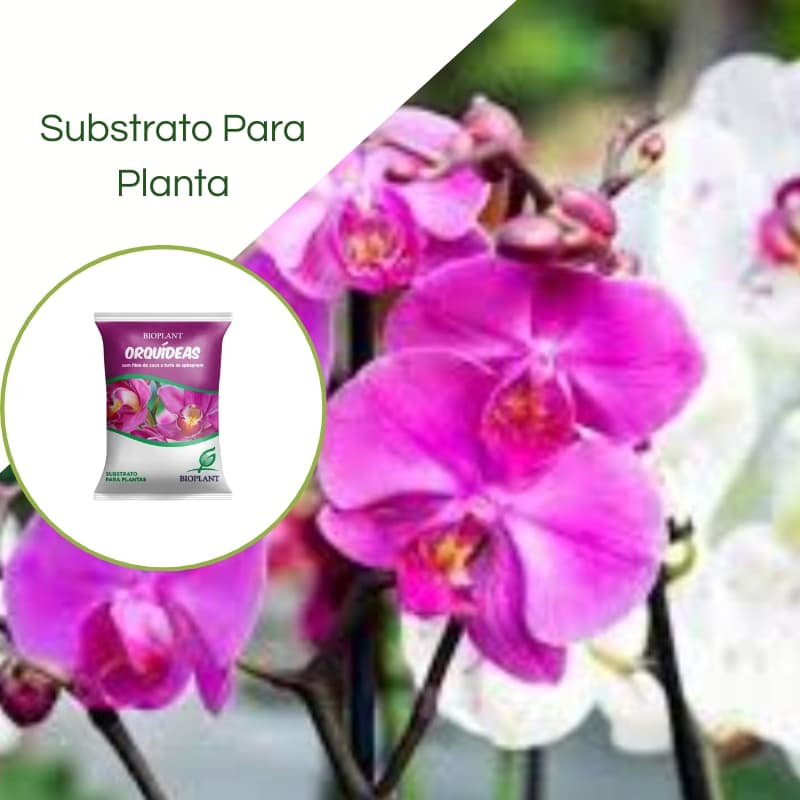 Substrato Para Orquídea 10L Bioplant