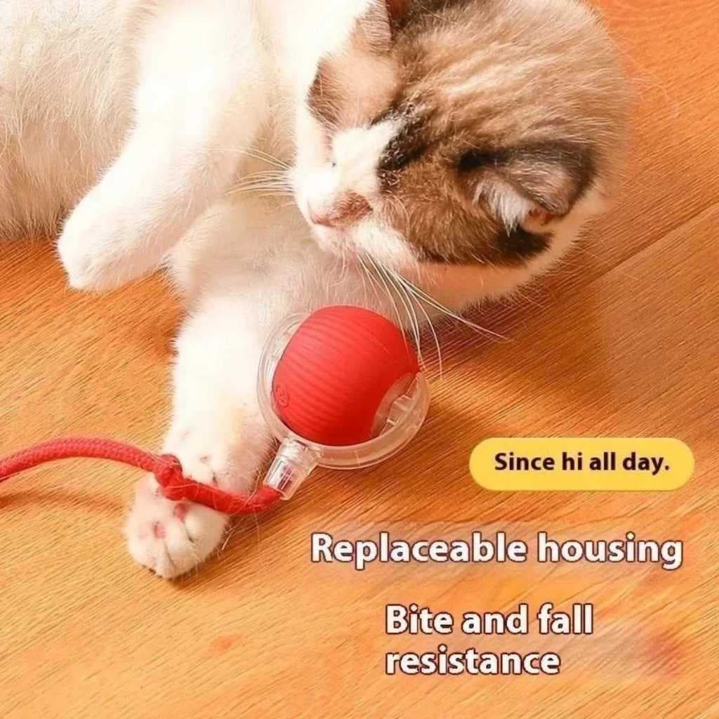 Brinquedos Inteligentes Para Gatos Bola De Rolamento Automática Cauda Falsa Recarregável Elétrico