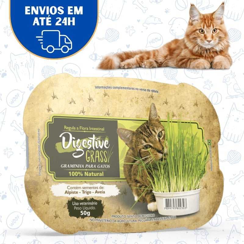 Graminha Gato Auxilia Digestão Pet Elimina Toxinas Digestive Grass Ipet 50g