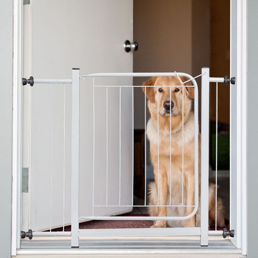 Grade Para Cachorro Portãozinho Para Criança Portão Pet com Extensor Prolongador Reforçado Portinha Pet 80 a 100cm