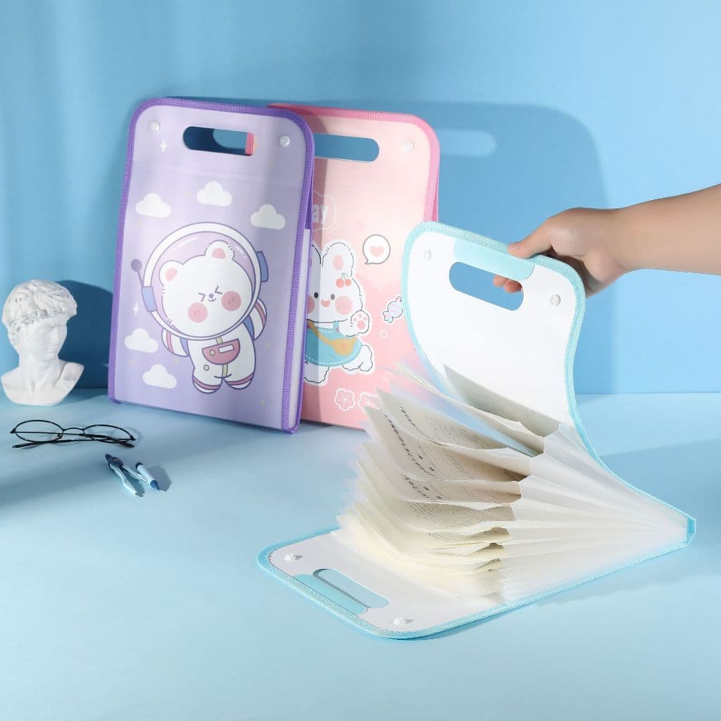 Pasta Organizador Sanfonada 12 Divisórias A4 Porta Documento Estampado Feminino Masculino Infantil