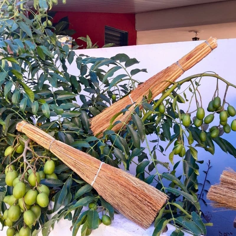 Vassourinha Caipira 53cm Limpeza de Calhas Fogão a Lenha Churrasqueira Minimos Espaços Artesanal Unidade