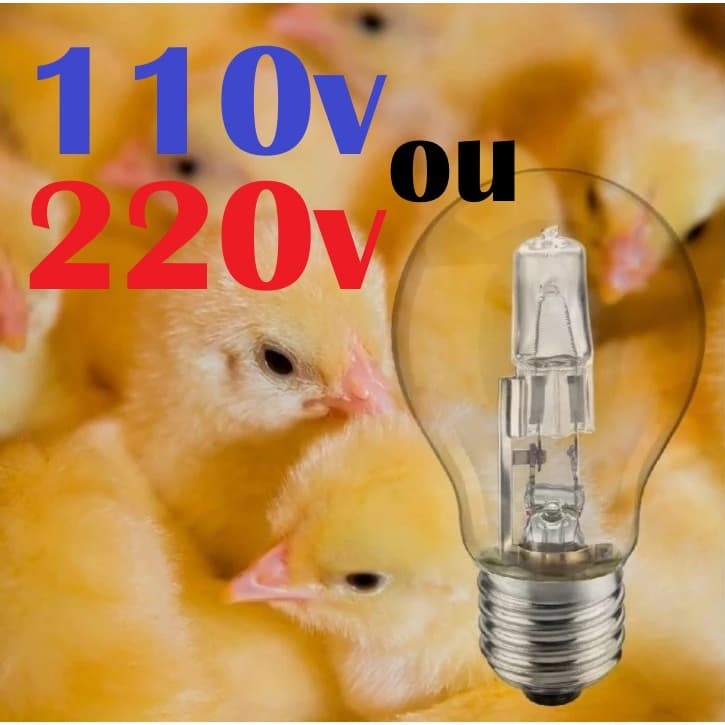 LÂMPADA DE AQUECIMENTO PARA PINTINHOS E AVES DE GRANJAS 110V ou 220V