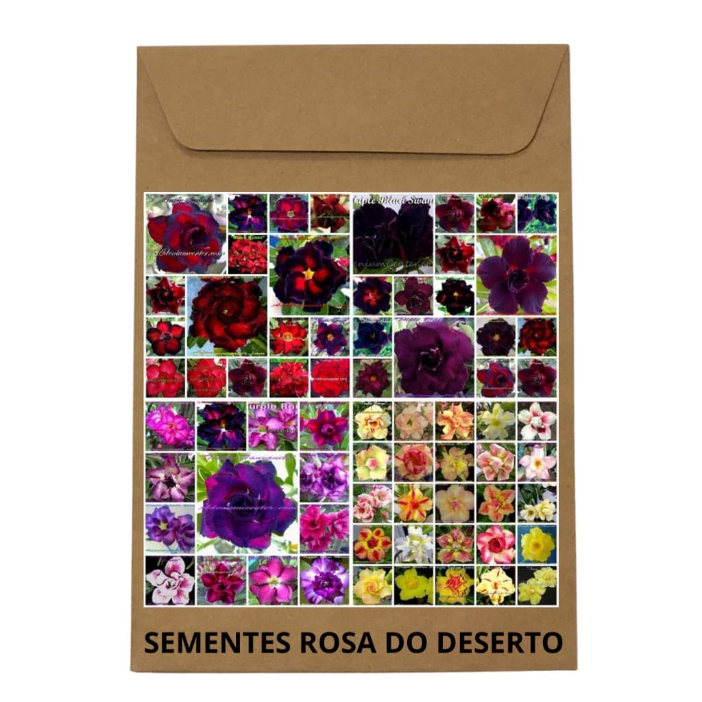 Kit com 4 cores sendo 25 de cada, negras, roxas, amarelas e vermelhas com negra. 100 sementes