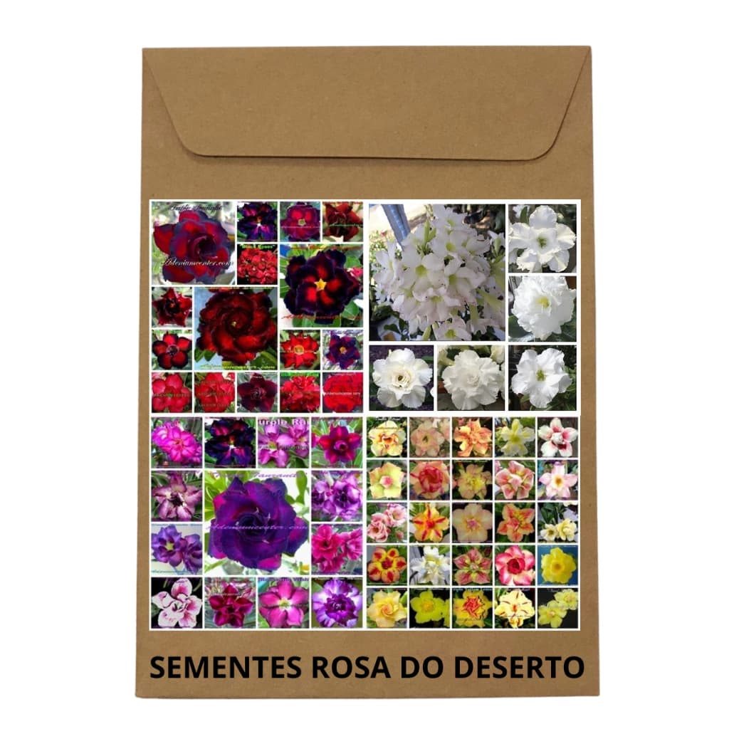 Kit com 100 sementes, (25 de cada cor: vermelhas com negra, brancas, amarelas, roxas)