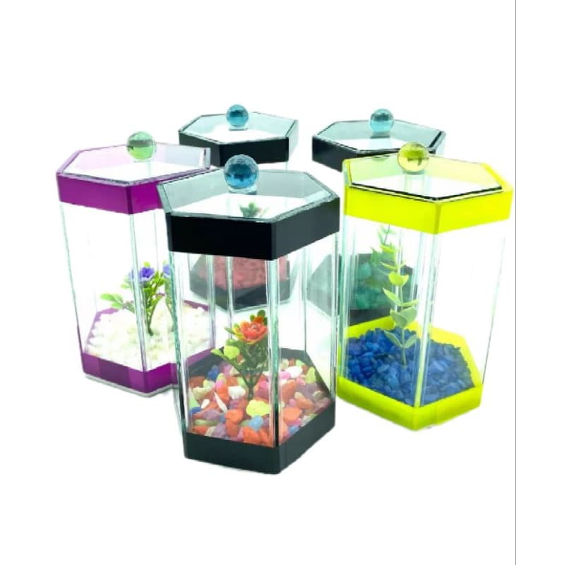 aquário beteira sextavada tradicional para peixe Betta de 1lt decorado