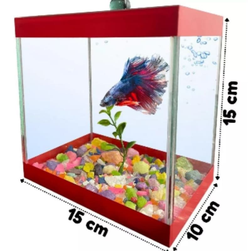 aquário beteira 15x10x15 para peixe Betta e plantas ornamentais decorado 2,1lt