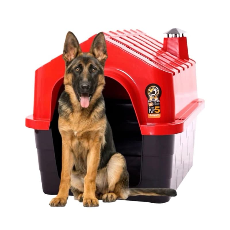 Casa para Cachorro Grande colorida N°5 - Casa Dura Pets + BRINDE