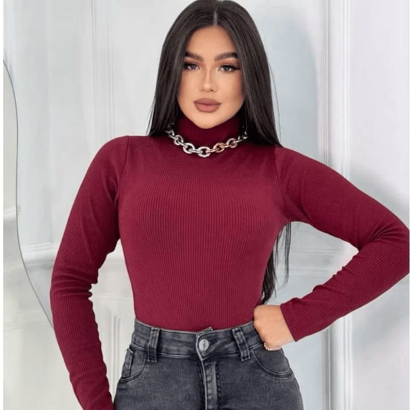Blusa Gola Alta Manga Longa  Feminina Estilo Casual Canelada
