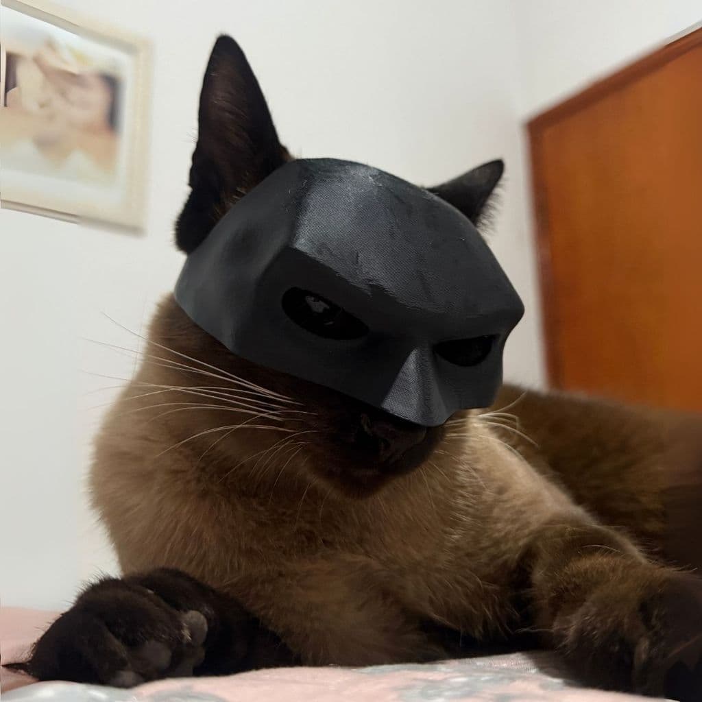 Batgato - Mascara do Batman para gatos acessórios para pets