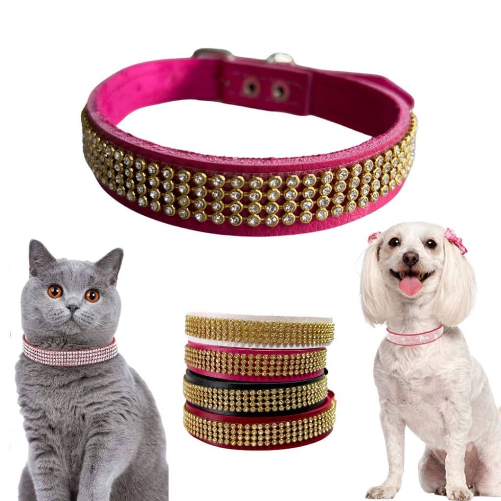 Coleira com Strass Brilho para Cães e Gatos Pet