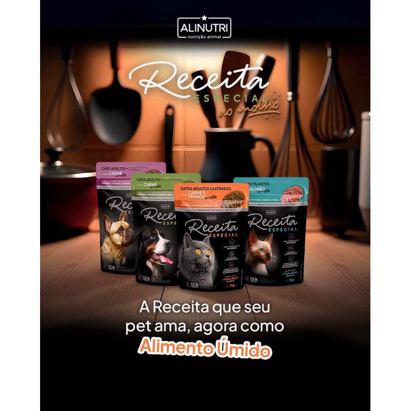Sachê úmido receita especial ao molho Cães (12un x 85g)