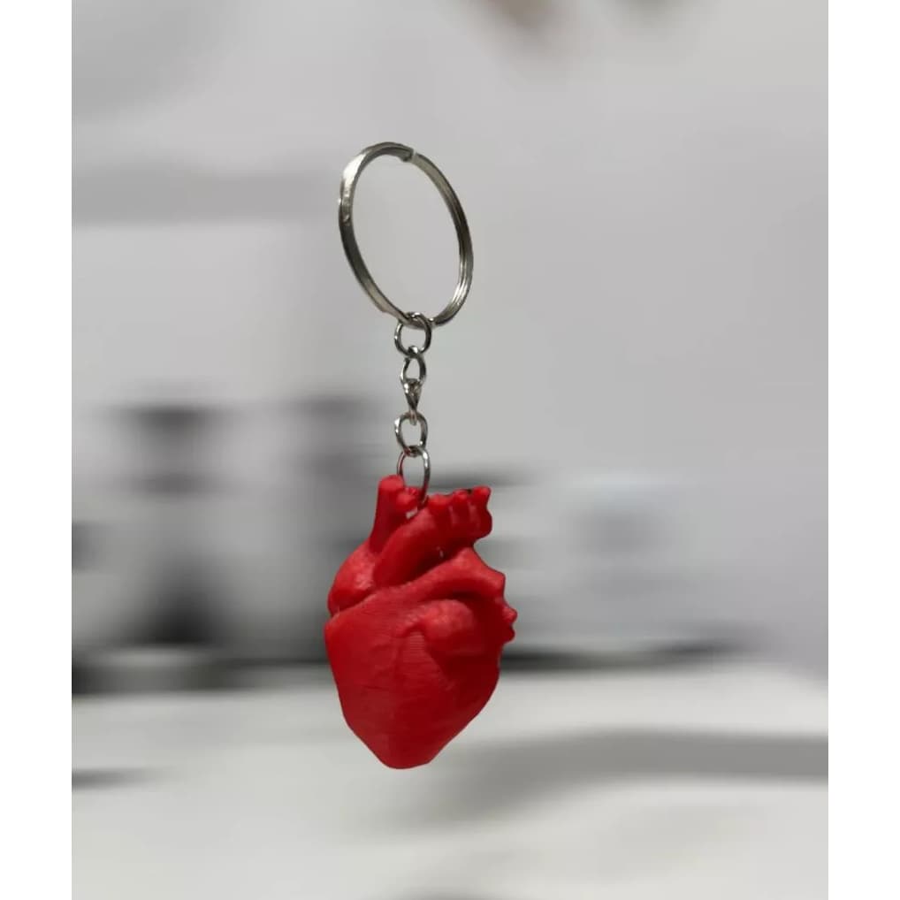 Chaveiro Coração Anatômico - 3D