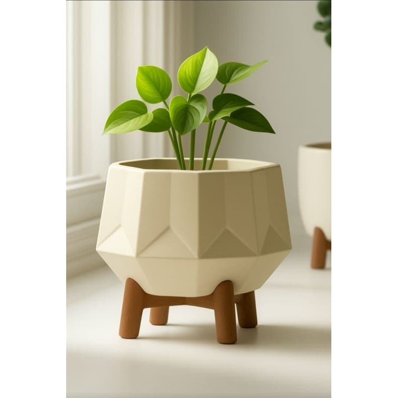 Cachepô Vaso para plantas e suculentas