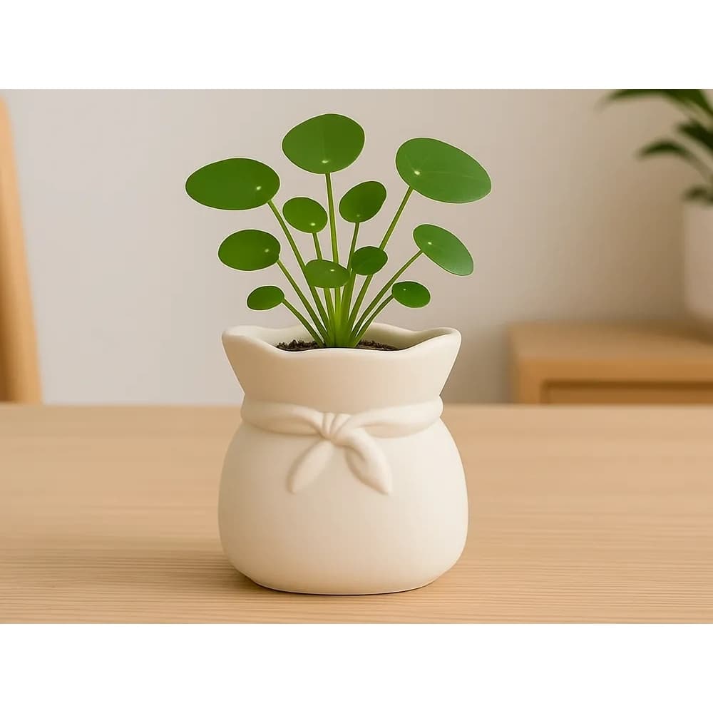Vaso Laço Cachepot Criativo Enfeite Mesa Presente Delicado Arranjo Decorativo Mini Planta Plástico Leve Decoração