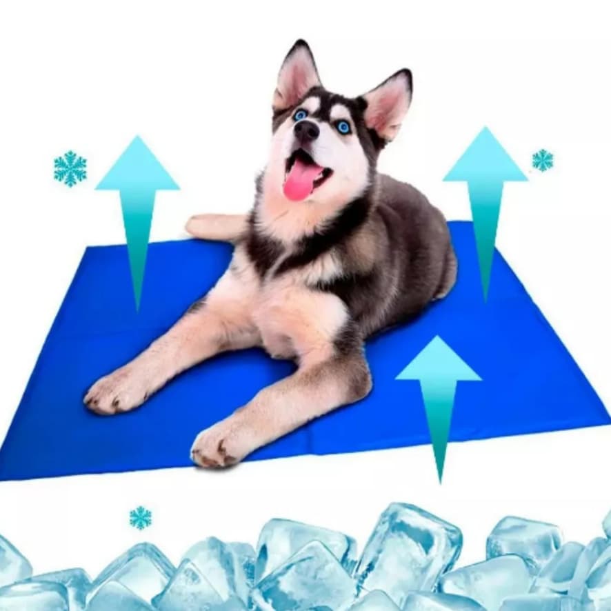 Tapete Gelado Pet Refrescante Resfriador Termico Natural Colchonete Colchão Cama Gel