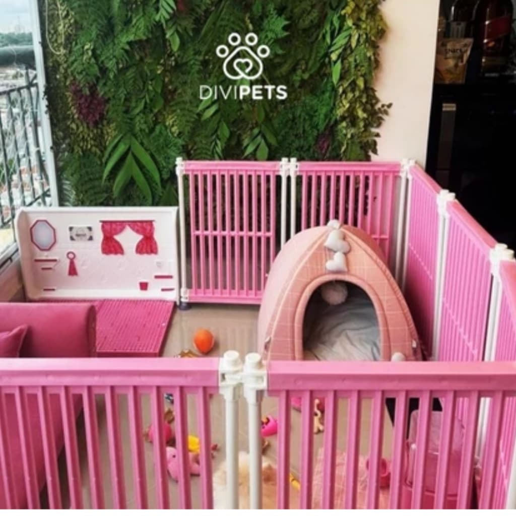Cercado para Cachorro, Pet, Dobrável | 8 Lados | Antiferrugem | 60cm Altura - Divipets