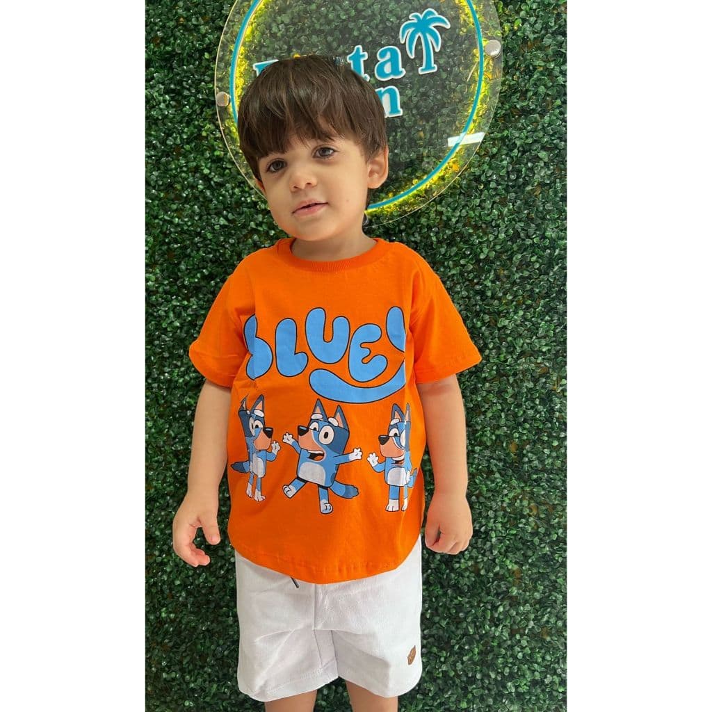 Kit Blusas Masculina Infantil Algodão Estampas Sortidas Aleatórias Menino