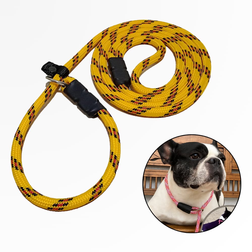 Guia Unificada para Adestramento de cães com até 2 metros Cachorro de médio e grande porte