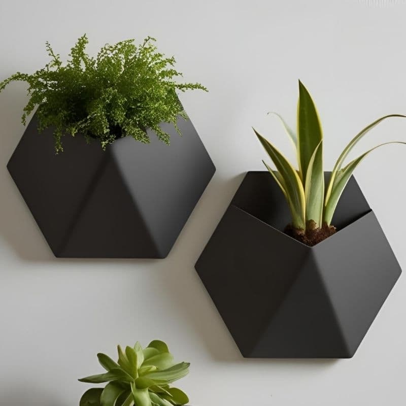 Vaso Hexagonal para Plantas - Decoração Moderna