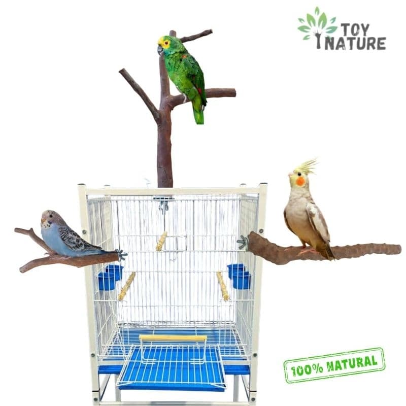 Poleiro natural  Calopsita aves galho jabuticabeira viveiro gaiola  100% natural toy nature