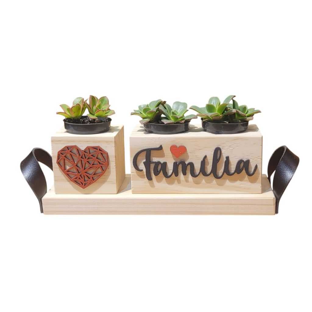 Vasinhos Decorativos  em Madeira Pinus Kit com 2 vasinhos mais Bandeja com alça courino
