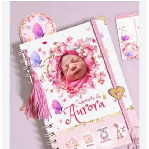Caderneta de Vacinação com Foto da Bebê | Personalizada com Nome |  Mais Brinde