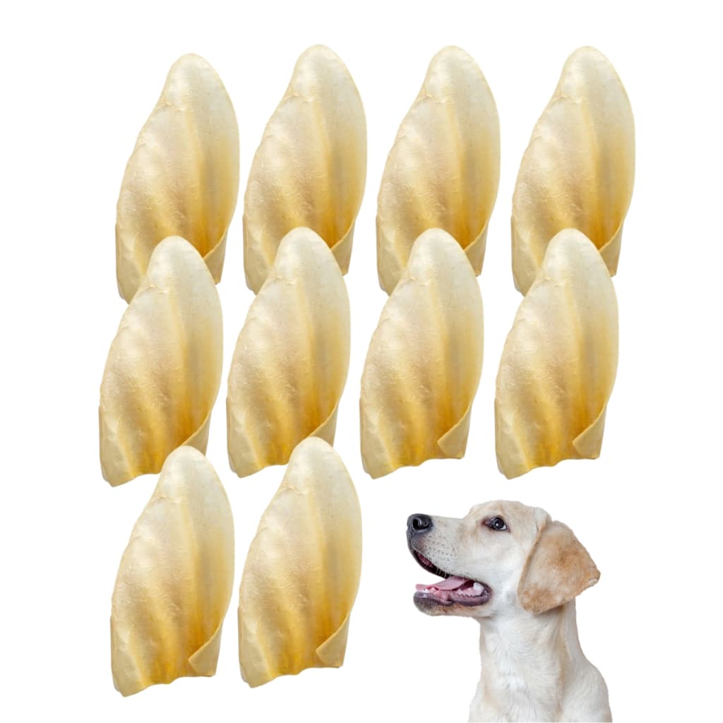 Kit Com 10 Mordedor Natural Orelha Bovina Desidratada para Cães Snackshow