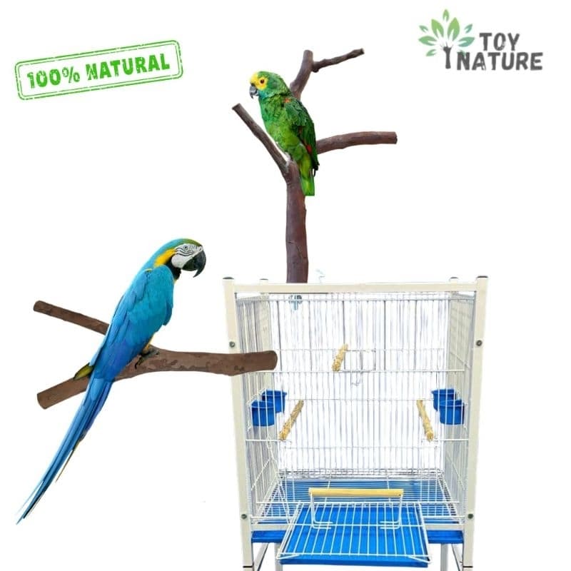 Poleiro Galho 100% Natural Goiabeira Grosso Aves Grandes Papagaio Toy Nature