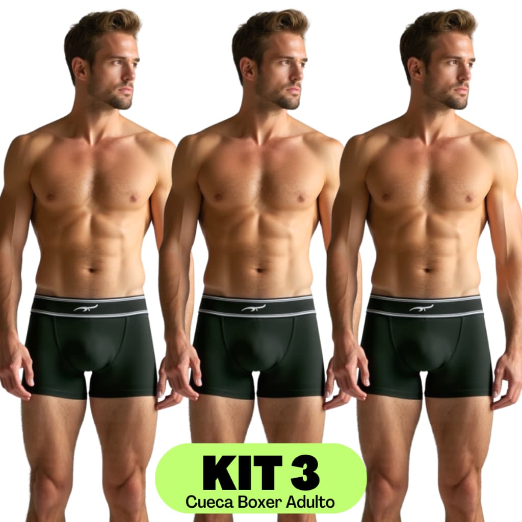 Kit 3 - Cueca Boxer De Tecido Macio Original Zee Rucci Microfibra