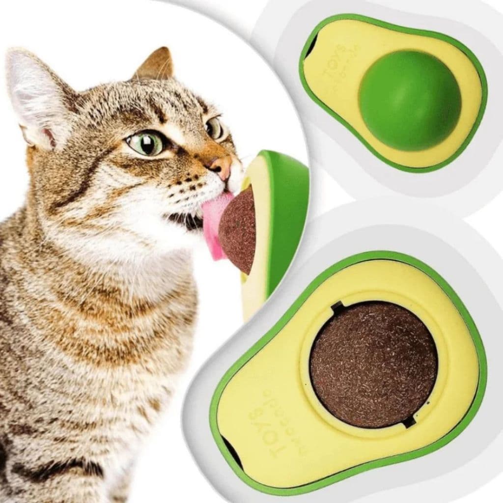 Abacate Catnip De Brinquedo Para Gatos Erva Gato Natural