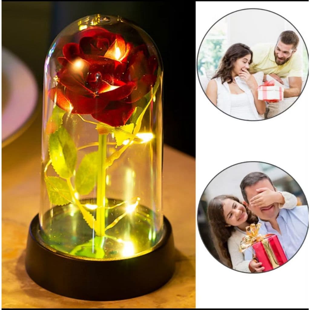 Rosa Encantada LED e Kit com Rosa Eterna com Iluminação Mágica e porta Retrato 10x15