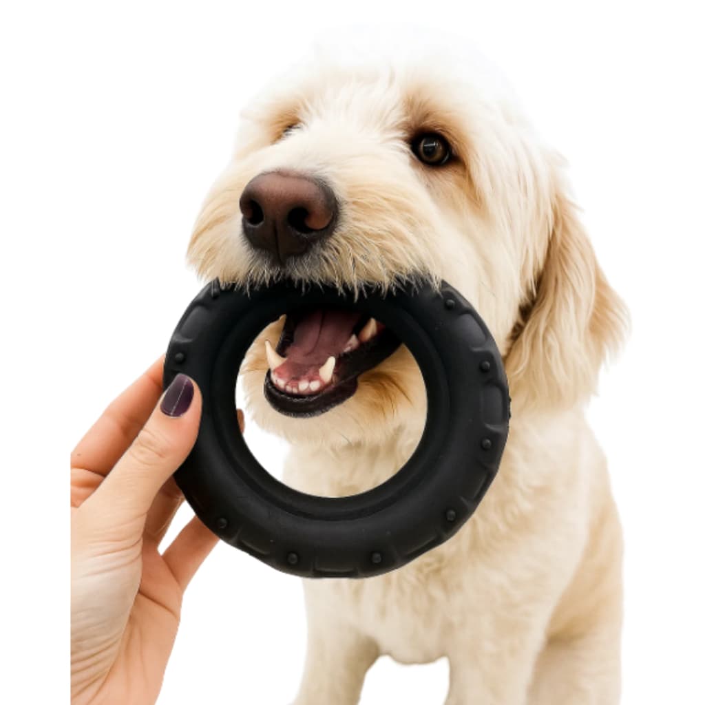 Mordedor Pet Pneu Borracha Maciça Brinquedo Cachorro Resistente Durável