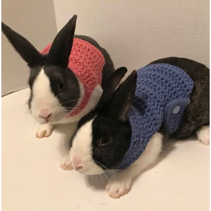 Kit 2 Roupinhas para Coelho De Pet Doméstico Inverno Tricot Quentinha