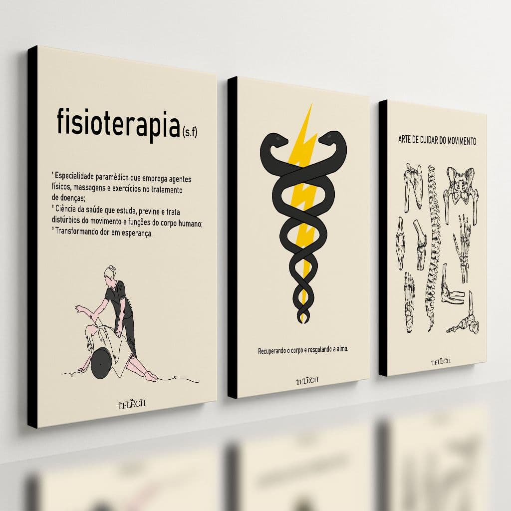Kit 3 Quadro Decorativo Fisioterapia Consultório Clínica Mdf