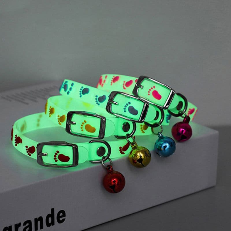 Coleiras Neon Brilha No Escuro Noturna Com Sininho Gato Cachorro Luminosa e Elegante
